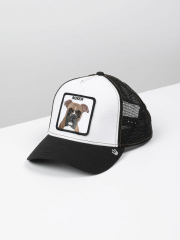 כובע מצחייה עם פאץ' כלב Boxer / גברים